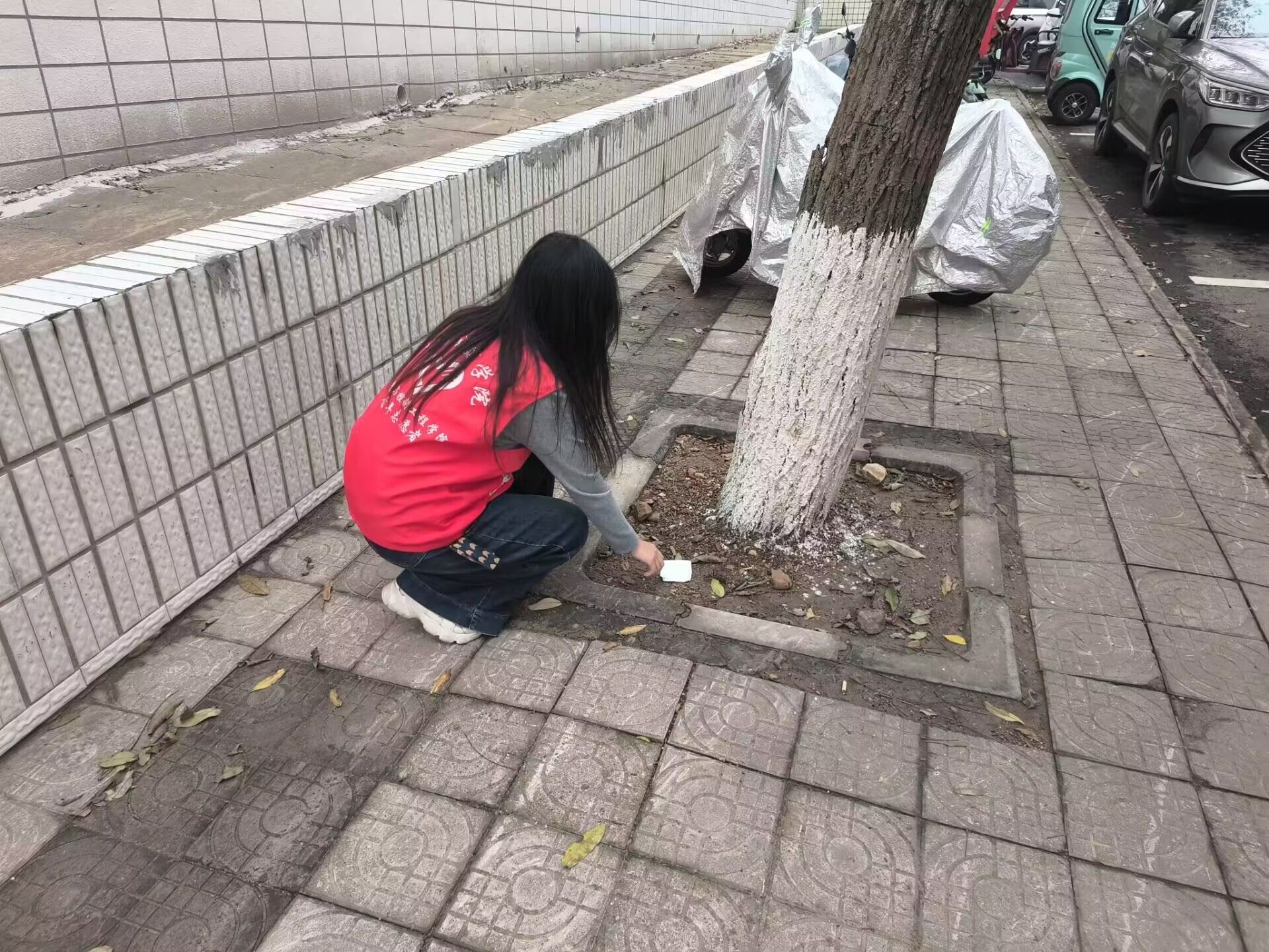 365英国上市